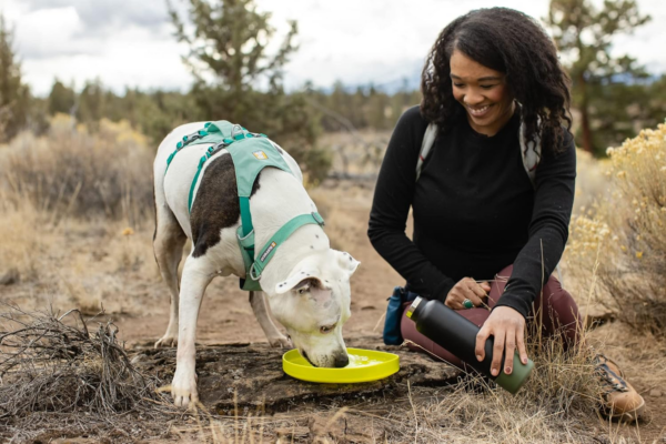 Camp Flyer Dog Toy, Lightweight and Flexible Disc for Throw and Fetch, Lichen Green - Image 4