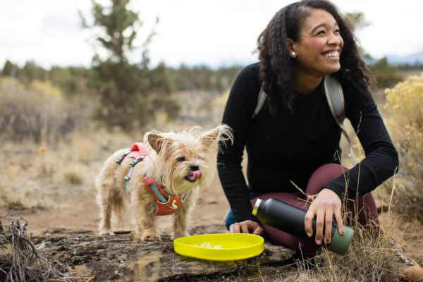 Camp Flyer Dog Toy, Lightweight and Flexible Disc for Throw and Fetch, Lichen Green - Image 9