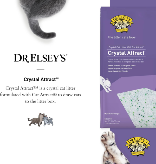 Crystal Attract Silica Cat Litter, 8Lbs - Image 3