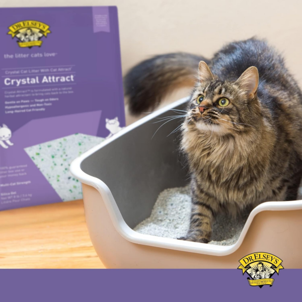 Crystal Attract Silica Cat Litter, 8Lbs - Image 6