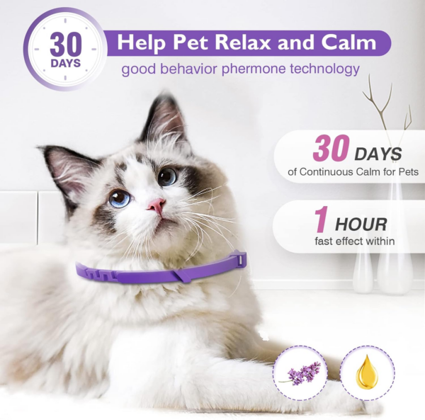 3 Pack Calming Collar Efficient Relieve Reduce Anxiety Stress Pheromones Calm Relaxing Comfortable Breakaway Collars Adjustable for Small, Medium Large Cat, Kittens - Image 4